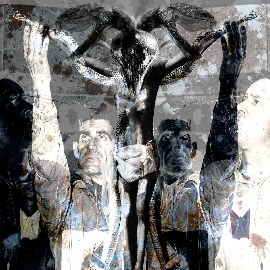 Year Of The Snake Oil